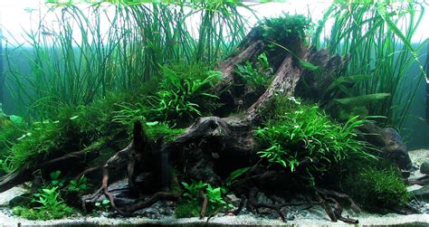 aquascape diy waterfall kit Planted Aquarium, Aquarium Nano, Aquarium ...