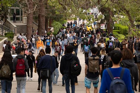 UCLA ranked No. 4 in Forbes Best Value Colleges List | UCLA