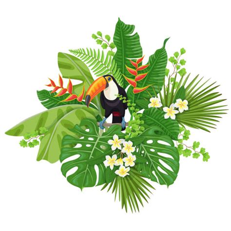 Amazon Rainforest Illustrations, Royalty-Free Vector Graphics & Clip Art - iStock