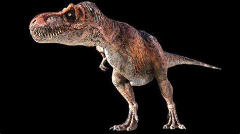 Tyrannosaurus Rex Evolution Before And After