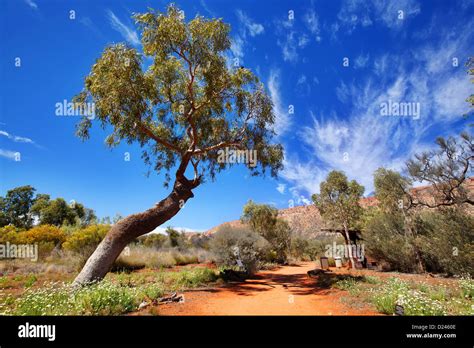 Alice springs desert park hi-res stock photography and images - Alamy