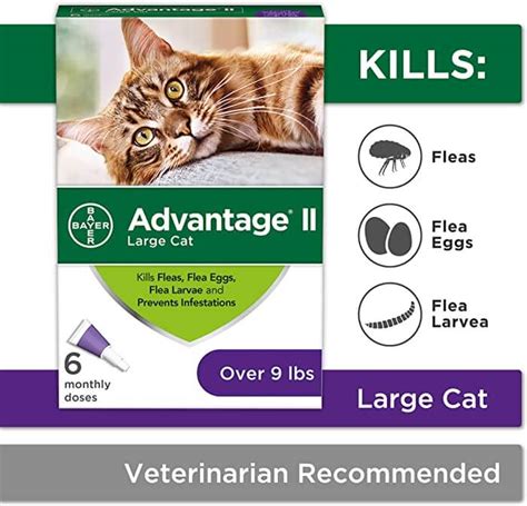 Advantage II For Cats: Dosage, Safety & Side Effects - All About Cats