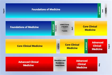 Curriculum Renewal Map | College of Medicine | SUNY Downstate