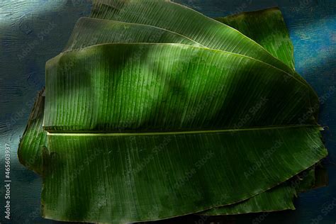 Banana leaves Stock Photo | Adobe Stock