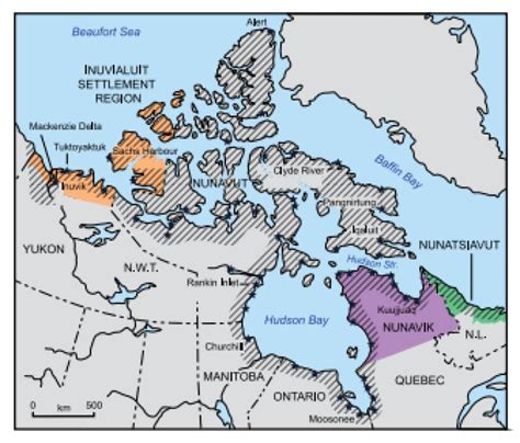 New report outlines climate change challenges on Canada's Arctic coast | CBC News