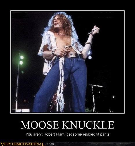 MOOSE KNUCKLE - Very Demotivational - Demotivational Posters | Very ...