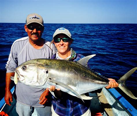 Boston Fly Fishing and Report: Fishing big jacks in BCS!