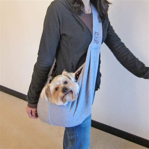 10 Most Creative Dog Accessories to Enhance Your Pup's Life