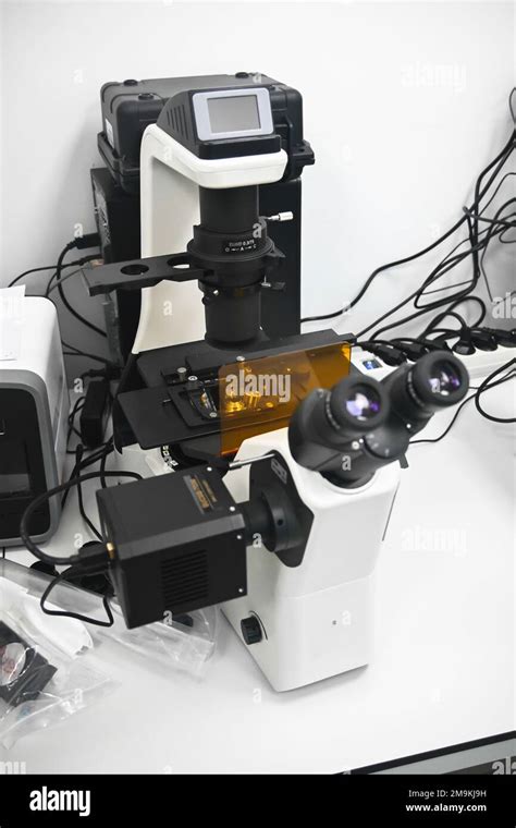 Laboratory microscope. A microscope in a biological laboratory Stock Photo - Alamy