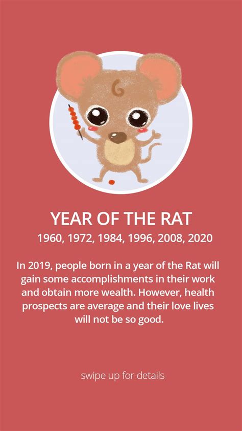 Chinese Zodiac-Rat | Year of the rat, Chinese zodiac, Chinese zodiac rat