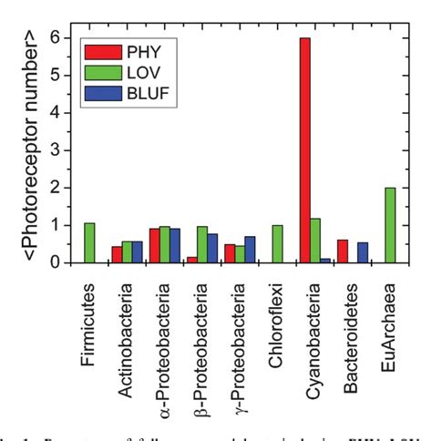 Table 1 from Bacterial bilin- and flavin-binding photoreceptors | Semantic Scholar