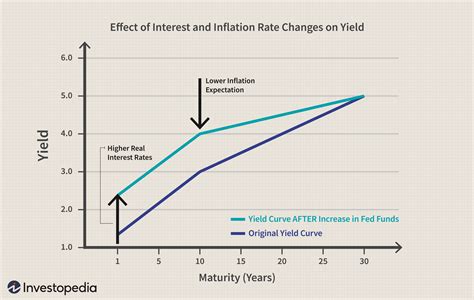 Understanding Treasury Yield and Interest Rates