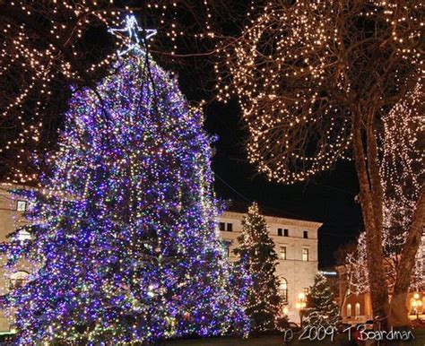 Holiday lights - Rice Park | Nice big blue tree this year. :… | Flickr