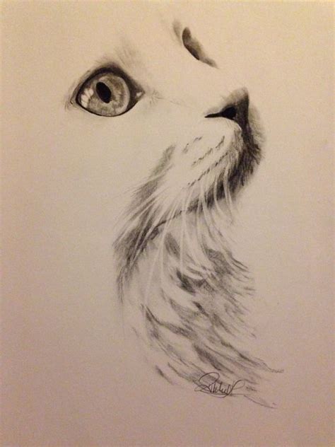 Mesmerizing charcoal cat art. #cats #cat #art #drawing Cat Drawing, Drawing Sketches, Painting ...