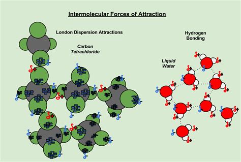 Intermolecular forces