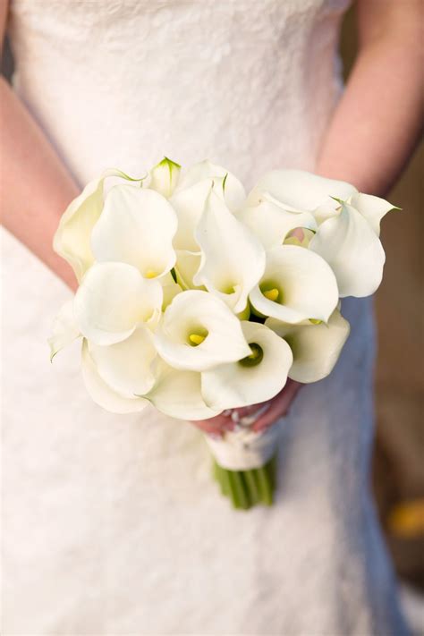 white calla lily bridal bouquet held by ... | Calla lily bouquet ...