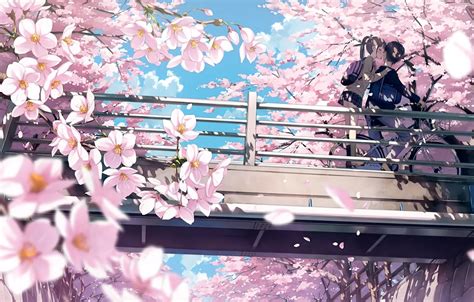 Wallpaper flowers, anime, art, girl, guy, kantoku images for desktop, section арт - download