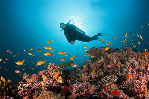 Emperor Atoll | Maldives Liveaboard Diving Holidays | Diverse Travel