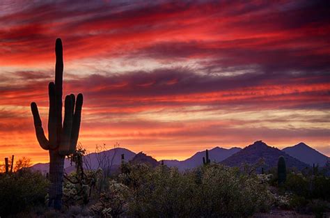 sonoran desert sunset | Red Hot Sonoran Sunset Photograph - Red Hot Sonoran Sunset Fine Art ...