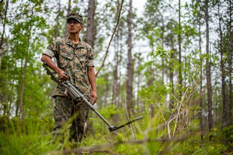 DVIDS - Images - Task force Marines conduct IED training during ...