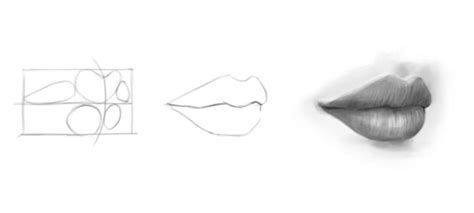 How To Draw A Mouth Step By Step Realistic