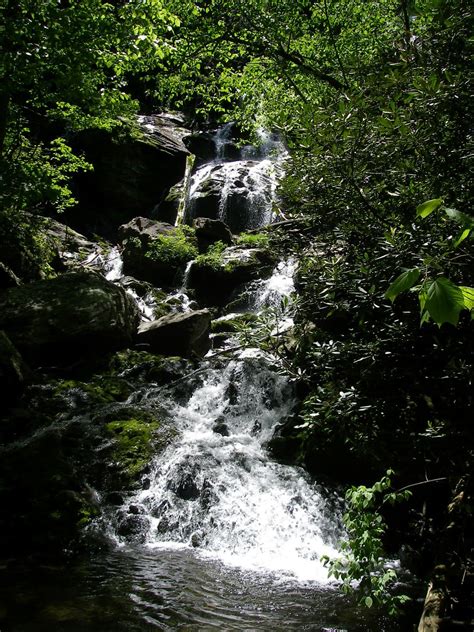 Living in Asheville, North Carolina: Local Hikes: Catawba Falls Trail