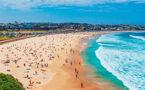 Sydney and Bondi Day Tours: Here's Everything You Need To Know