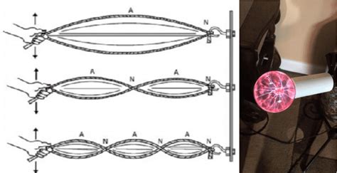 What are Scalar Fields? - True Scalar