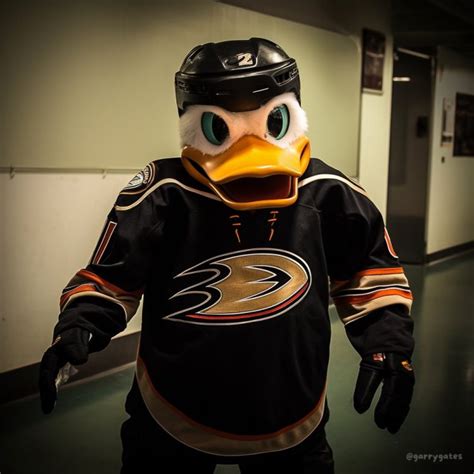 AI Reimagines Mascots For All 32 NHL Teams – SportsLogos.Net News