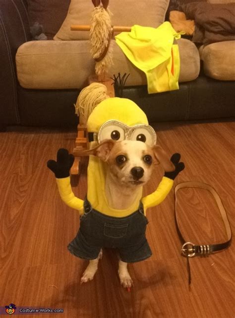 Kevin Minion Dog's Costume | Best DIY Costumes - Photo 2/2