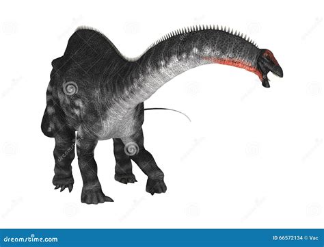 Dinosaur Apatosaurus And Human Size Comparison Royalty-Free ...