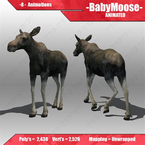 Baby Moose Animated 3D model animated rigged | CGTrader