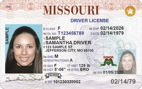 Take a look at Missouri’s new driver’s license design | KOLR ...