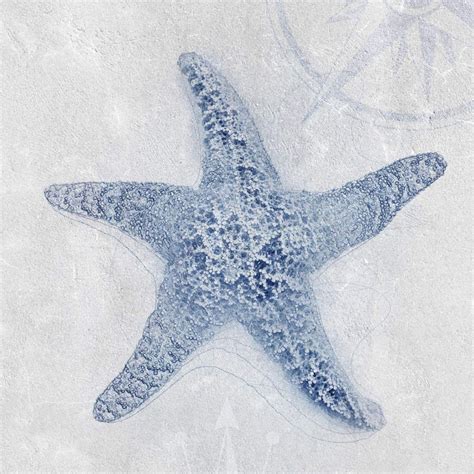 Starfish Wall Art | Prints, Framed Prints And Multi Panel Art