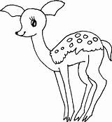 Deer Coloring Pages Fawn Baby Colouring Printable Kids Animals Doe  sketch template