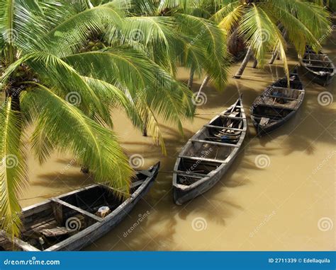 Rainy kerala stock image. Image of water, seasonal, season - 2711339