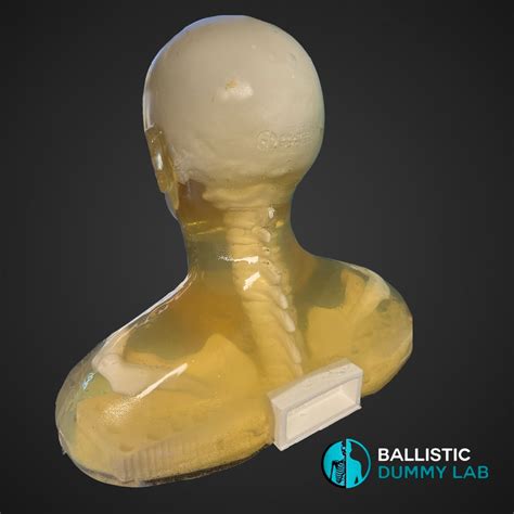 Deluxe Ballistic Dummy Gel Bust – Ballistic Dummy Lab