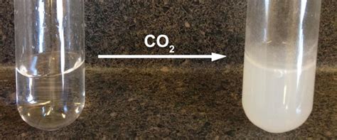 Reacting Carbon Dioxide with Lime water | Superprof