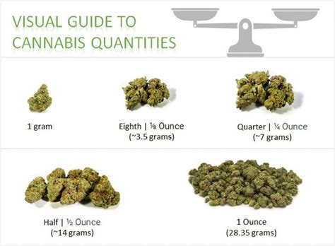 How Much is an Ounce of Weed? Measurement, Slang, Price, Legality