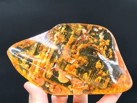 Sold at Auction: Amber, Fossil, Natural, Collectible, Specimen