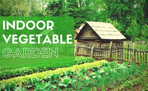 37 Edibles You Can Grow Indoors In The Winter - Urban Organic Gardener