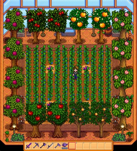 Best stardew valley greenhouse layout - portkool