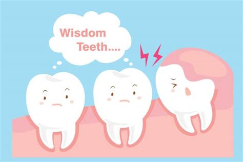 Top 60 Wisdom Tooth Clip Art, Vector Graphics and Illustrations - iStock