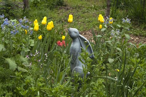 Garden Photo of the Week: Nanci Kerby’s incredible bunny garden in Napa, California. Seen here ...