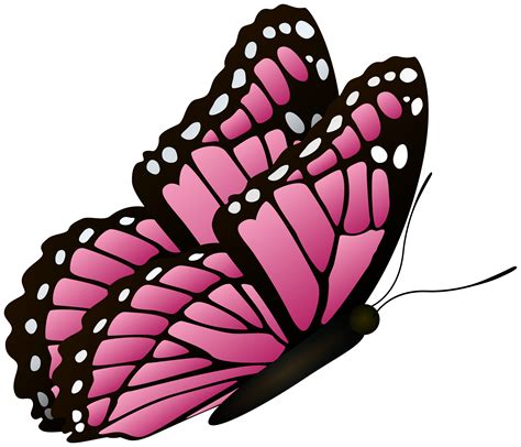 Cute Pink Butterfly Clipart