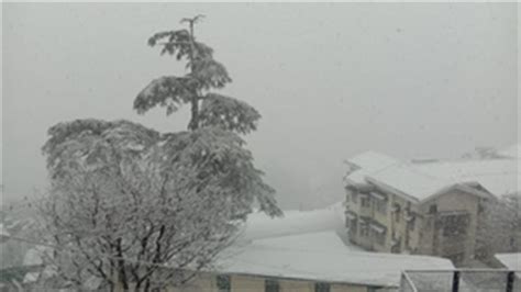 Shimla gets season’s first snowfall; tourists rush