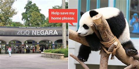 Malaysia’s Zoo Negara Needs More Visitors Or It’ll Run Out Of Money To Care For Animals