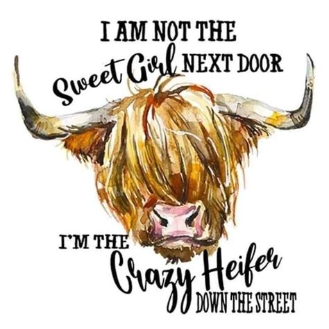 Pin by Debbie on a | Heifer, Sublime, Sweet girls