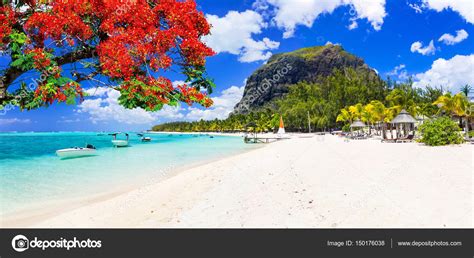 Soliga Mauritius öns vackra stränder. Tropisk semester — Stockfotografi ...