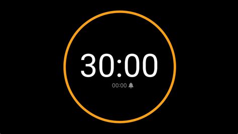 30 Minute Countdown Timer with Alarm / iPhone Timer Style - YouTube